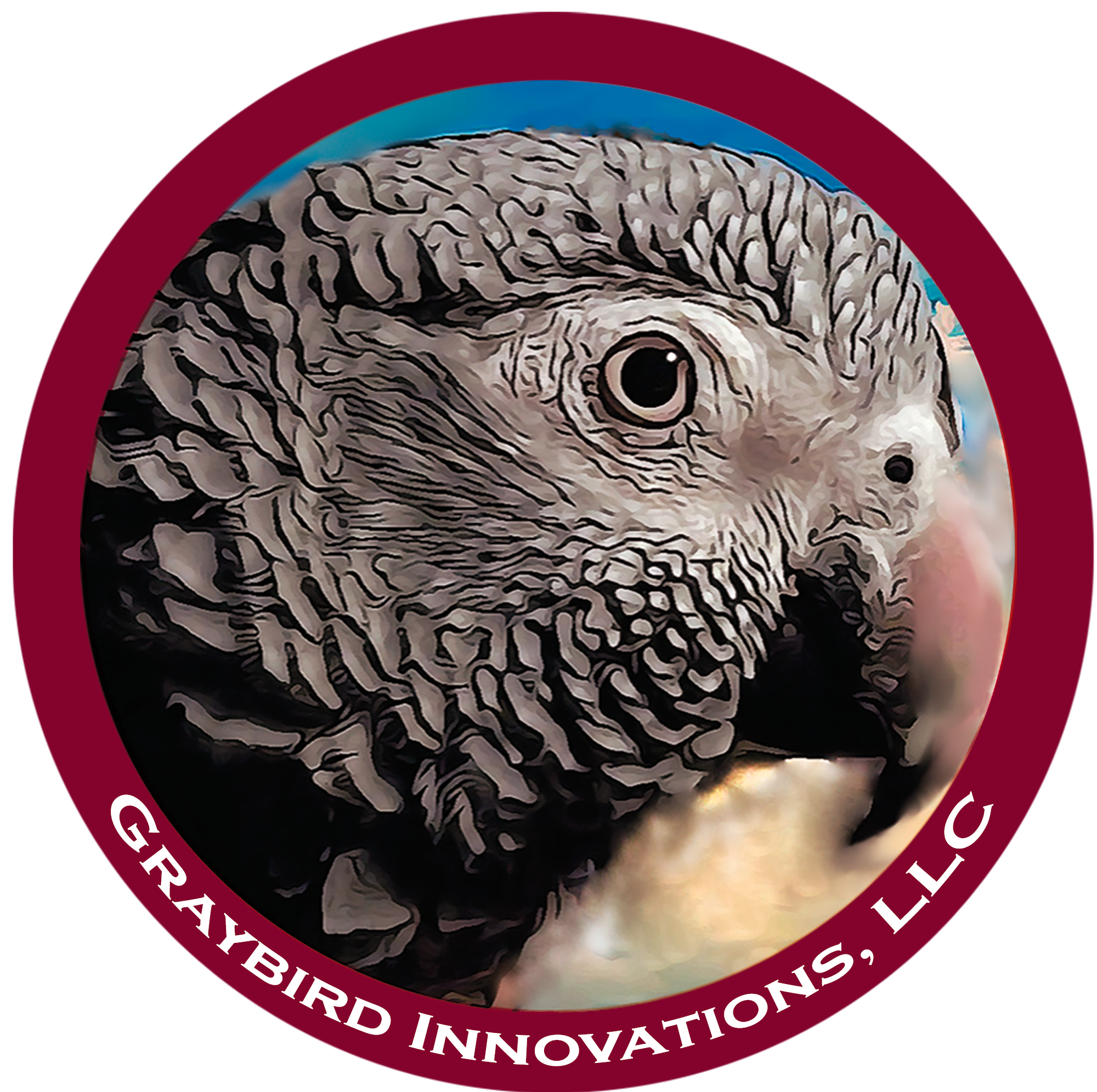 Graybird-Innovations-LLC-Round-Logo-Revised.png
